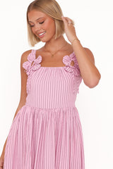 Alden Maxi Dress - Pink/White Stripe